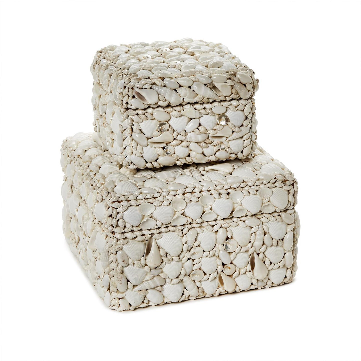 Shell Box
