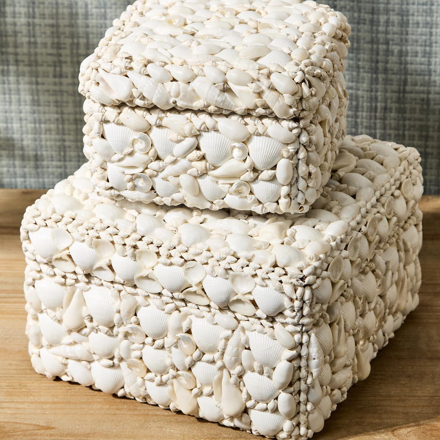 Shell Box