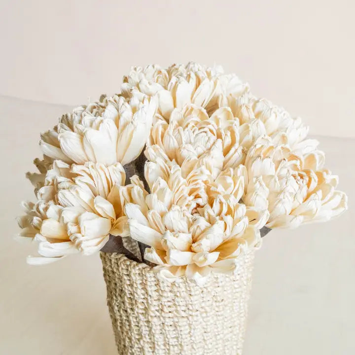 Husk Marigold