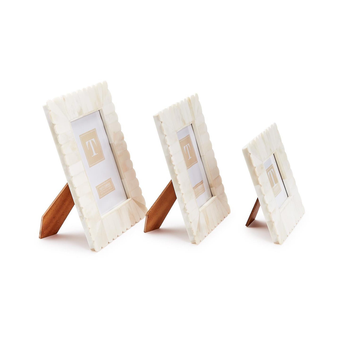 Scalloped Bone Frame