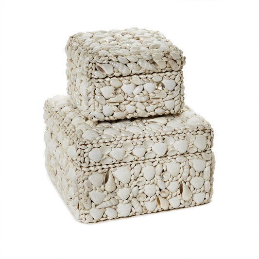 Shell Box