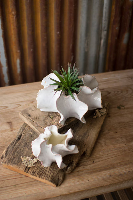 Organic Planter