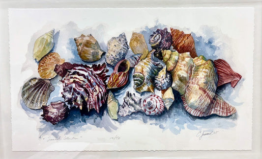Seawash Collection