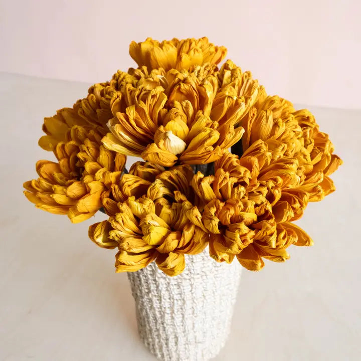 Husk Marigold